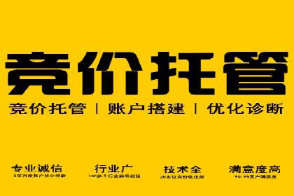 提升转化率——SEM竞价优化实战案例